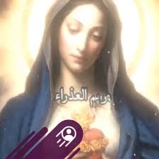 أمثلة بسيطة عن الكسكس الجزائري في المغرب الأقصى من مطاعم مختلفة وجرائد  فرنسية مختلفة كلها محفوظة في الأرشيف الفرنسي ليتسنى لكم التأكد: _L'echo du  maroc الكسكس الجزائري في ة مطعم ميناء ليوطي