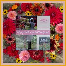 pin op mariekenolsen blogspot com