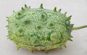 Image result for Cucumis