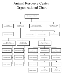 Arc Organizational Chart Animal Resources Center