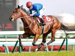 Näytä lisää sivusta 株式会社インターネットイニシアティブ （iij） facebookissa. ãƒ‹ãƒ¥ãƒ¼ã‚¸ãƒ¼ãƒ©ãƒ³ãƒ‰ãƒˆãƒ­ãƒ•ã‚£ãƒ¼ 2021 å›žé¡§ ï¼' ï¼'ç€é¦¬ã®ä»Šå¾Œã«ã¤ã„ã¦ æ¬¡èµ°ã¸ã®ä¸€è¨€ãƒ¡ãƒ¢ã‚‚ ç«¶é¦¬äºˆæƒ³ã®ã‚­ãƒ³ã‚°ã‚¹ãƒãƒ¼ãƒ„