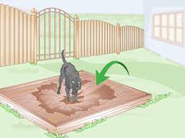 We did not find results for: How To Stop A Dog From Digging Under The Fence 8 Steps