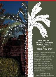 Palm Tree Lighting Kits Buy Direct Http Shop Trimitquick Com Palm Tree Christmas Lights Palm Tree Lights Outdoor Christmas Lights