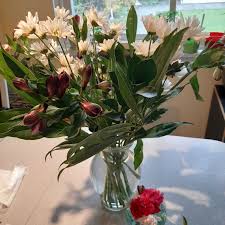 We did not find results for: Bloomex Reviews 885 Reviews Of Bloomex Ca Sitejabber
