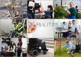 Image result for Disability Management
