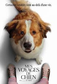 « asi permet la transmission d'expériences qui marquent les gens pour toute leur vie en créant des installations aquatiques et des enclos pour animaux de. Mes Voyages De Chien 2019 Film Cinoche Com