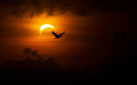 Free solar eclipse wallpapers and solar eclipse backgrounds for your computer desktop. Solar Eclipse 4k Ultra Hd Wallpaper Background Image 3840x2400 Wallpaper Abyss