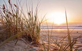 Great savings on hotels in porto, portugal online. Die Schonsten Strande In Porto Der Spotahome Blog
