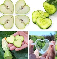 Cucumber Watermelon Fruits Growth Growing Forming Mold Star Shape Heart Shaped Plastic Transparent For Garden Bonsai Growing Vegetables Bonsai Garden Fruit