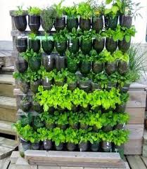 Crazy Vertical Garden Ideas Nz To Refresh Your Garden Small Vegetable Gardens Garden Layout Vegetable Indoor Vegetable Gardening