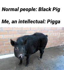 Dank Memes On Twitter If Men Are Pigs Are Black Men Piggas
