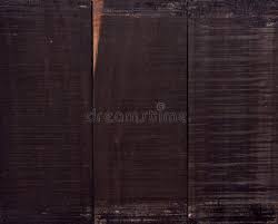 Image result for Diospyros crassiflora