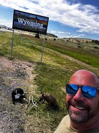 Need a spare vehicle after hitting a moose?