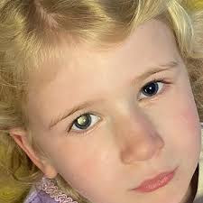 The Gavin Glynn Foundation...