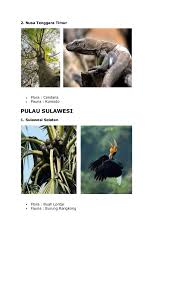 Check spelling or type a new query. Flora Dan Fauna Wilayah Barat