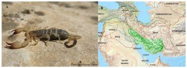 Read s rie t l vis e book reviews & author details and more at amazon.in. Molecules July 2 2019 Browse Articles