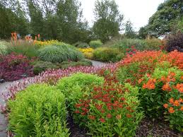 Pin On The Garden Beautiful