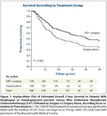 Esophagogastric Junction And Gastric Adenocarcinoma Neoadjuvant And Adjuvant Therapy And Future Directions Cancer Network