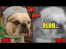 sihirli annem oyuncularinin merak edilen degisimleri youtube youtube anne kanal