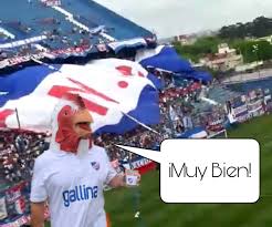 Capitan Gallina De Nacional Gallinacapitan Twitter