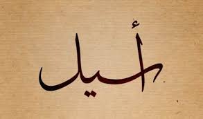 معنى اسم اسيل في القران وعلاقته بسيدنا محمد ص معلومة