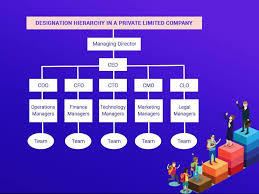 Read About Designation Hierarchy In A Private Limited