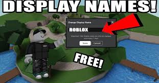 I run a bed & breakfast and i give my guests free access to the internet via wifi. When Are Display Names Coming To Roblox Details