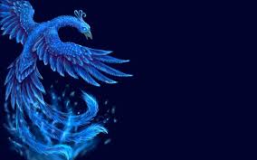 Phoenix Bird Backgrounds Phoenix Wallpaper Birds Wallpaper Hd Bird Wallpaper