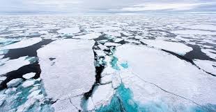 Evidence Of Human Caused Climate Crisis Has Now Reached Gold Standard Level Certainty Scientists Say Nature Climate Change Arctic Ocean Climates