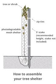 Sep 25, 2019 · if you need shelter quickly, gather as much dry materials as you can from the ground near the location you've chosen. Tree Shelter Direct Native Plants Md De Pa Va