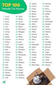 We did not find results for: The 100 Most Popular Male And Female Cat Names Of 2020 Artofit