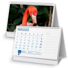 Image result for calendari