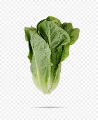 We did not find results for: Sayuran Selada Romaine Sayuran Daun Gambar Png