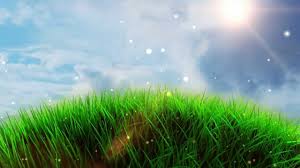 No need to register, buy now! Free Worship Grass Field Background Youtube