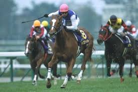 The japan racing association (japanese: Jraãƒ›ãƒ¼ãƒ ãƒšãƒ¼ã‚¸ ãƒ‡ãƒ¼ã‚¿ãƒ•ã‚¡ã‚¤ãƒ« ç«¶èµ°æˆç¸¾ãƒ‡ãƒ¼ã‚¿