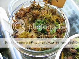 Image result for Genlisea hispidula