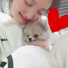 Twice Has 10 Furry Little Friends This Is Who They Are Search through our list of dog names by category to find the perfect name for your puppy. twice has 10 furry little friends this