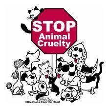 Stop Cruelty To Animals Stop Animal Cruelty Animal Cruelty Animal Abuse