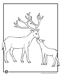 100% free coloring page of a baby deer. Baby Deer Coloring Page Woo Jr Kids Activities
