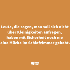 Ich habe einmal extra große spinnen gesammelt (die müssten doch die größten netze bauen) und im schlafzimmer ausgesetzt. Leute Die Sagen Man Soll Sich Nicht Uber Kleinigkeiten Aufregen Haben Mit Sicherheit Noch Nie Eine