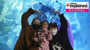 Total population reaches its peak in 2024 at 51,347,169. Explained Why South Korea S Falling Population Has Its Government Worried Explained News The Indian Express