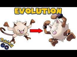 Image Result For Mankey Pokemon Evolution Chart Pokemon