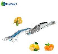 High Quality Mandarin/Citrus Sorter/Grader Lemon/Orange Processing Machine Fruit Weight Processing Line