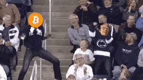 Things, the wolf of wall street bitcoin meme very fascinating make: Best Bitcoin Meme Gifs Gfycat