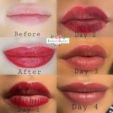 Healing Process After Lips Tattoo Blush Lips Blush Healing Lips Process Tattoo Lip Color Tattoo Lip Healing Lip Blush