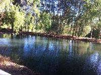 About press copyright contact us creators advertise developers terms privacy policy & safety how youtube works test new features press copyright contact us creators. Oportunidad Vendo Parcela Chillan Camino Coihueco C Laguna Natural Arandanos En Antofagasta Terrenos 574944