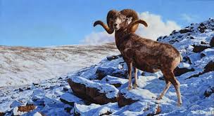Use it or lose it they say, and that is certainly true when it. Which Is The Largest Species Of Wild Trivia Questions Quizzclub