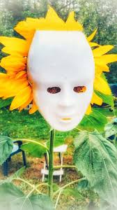 Children's sunflower festival workshop