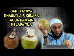 Air kelapa banyak memiliki manfaat. Manfaat Luarbisa Air Kelapa Muda Dan Air Kelapa Tua Dr Zaidul Akbar Youtube