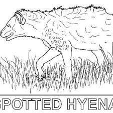 The hyena coloring pages also available in pdf file that you can download for free. Spotted Hyena Coloring Page Kids Play Color